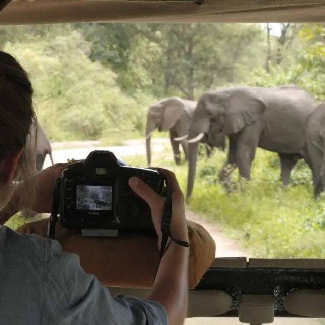 women taking photo of elephants on safari