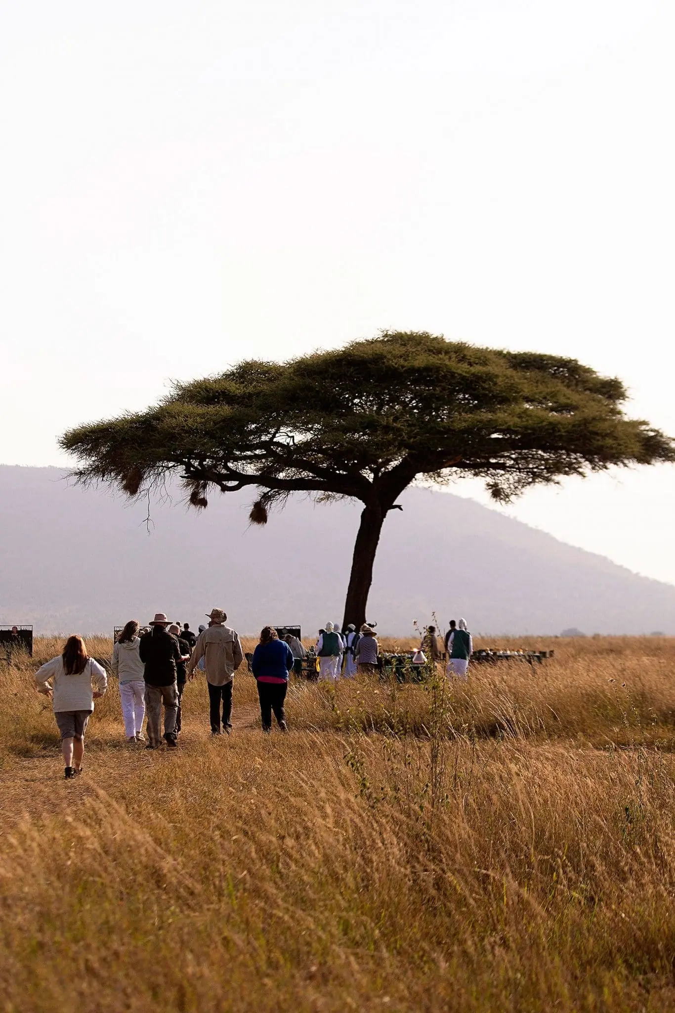 Serengeti Balloon Safari breakfast