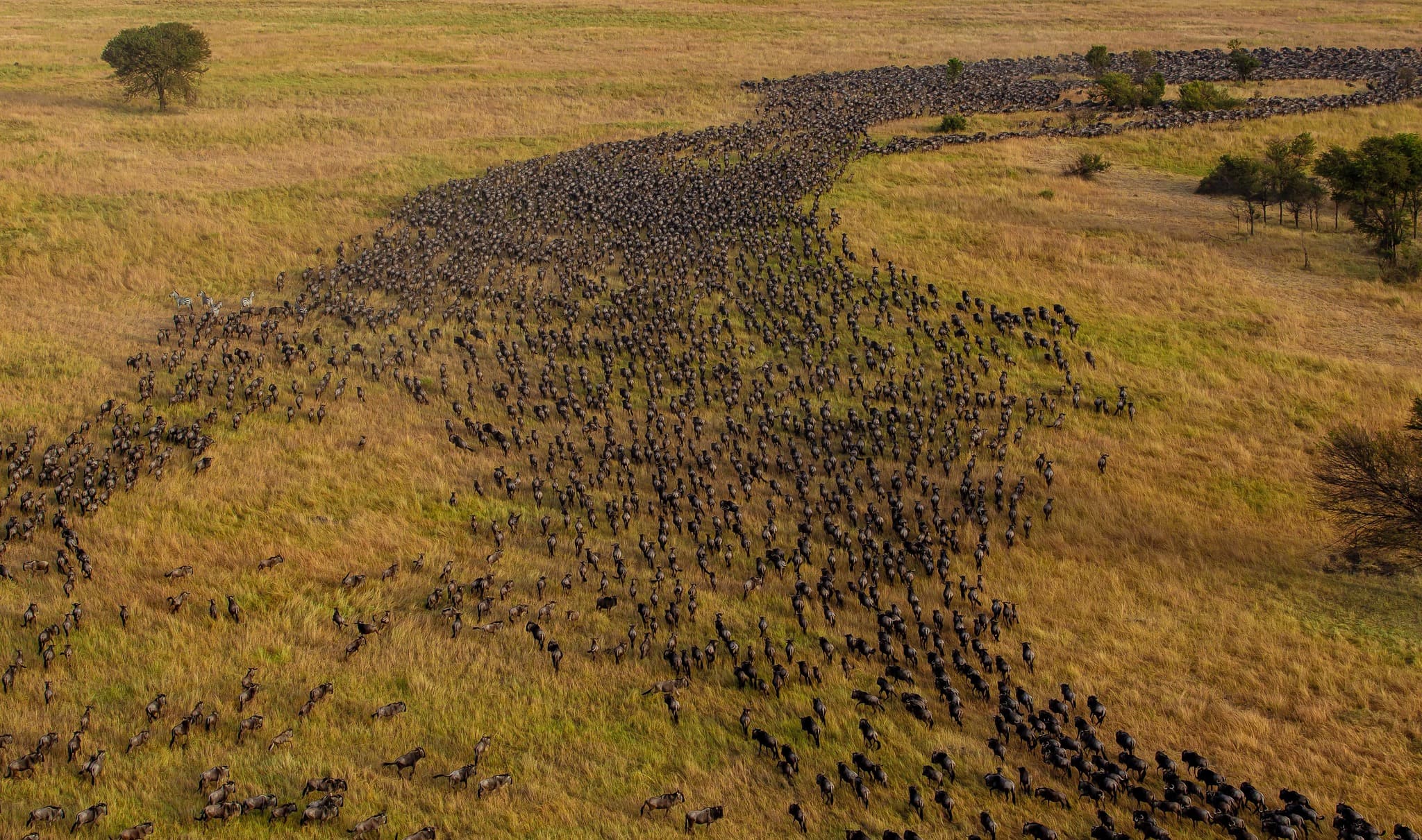 https://www.safariventures.com/wp-content/uploads/421525792_962143745283366_7027122454677340999_n-1.jpg