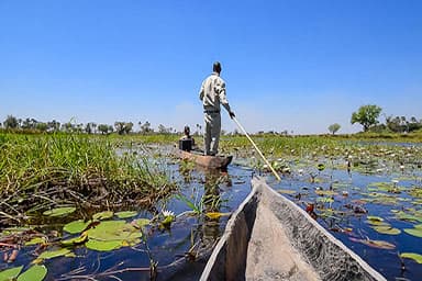 Mokoro Ride On Okavango Delta