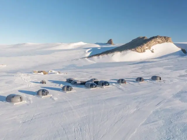 Antarctica Safari Package Booking Strategy for November to February Travel