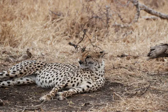 20 https://www.safariventures.com/wp-content/uploads/20.png