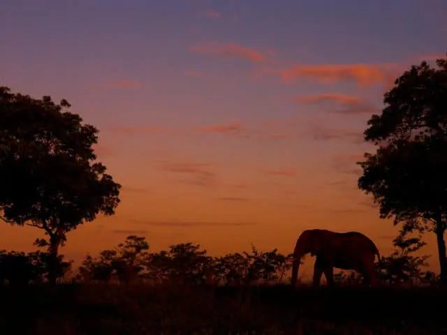 Best of Kenya & Tanzania Safari Tour