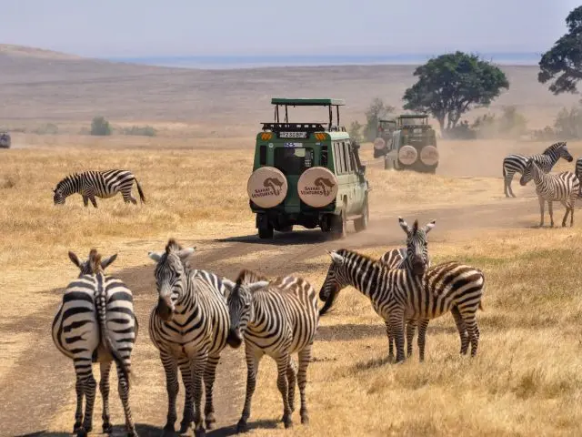 safari vehicle and zebras in the Serengeti