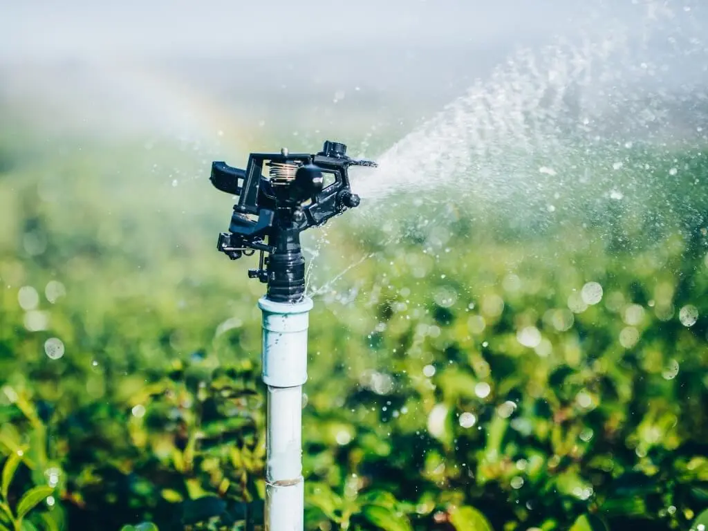 backflow preventer testing sprinkler repair