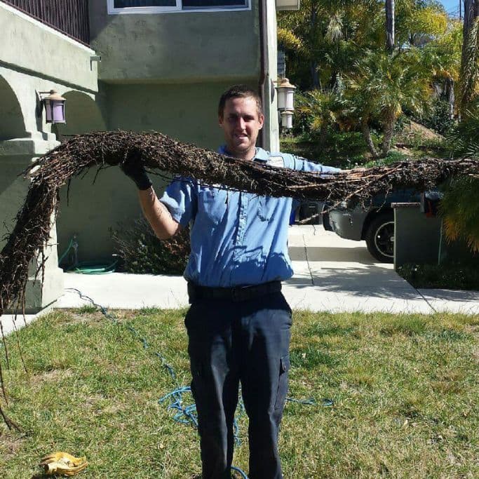 Roots in Drainage Systems repairs san diego (2)
