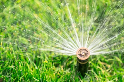 irrigation system