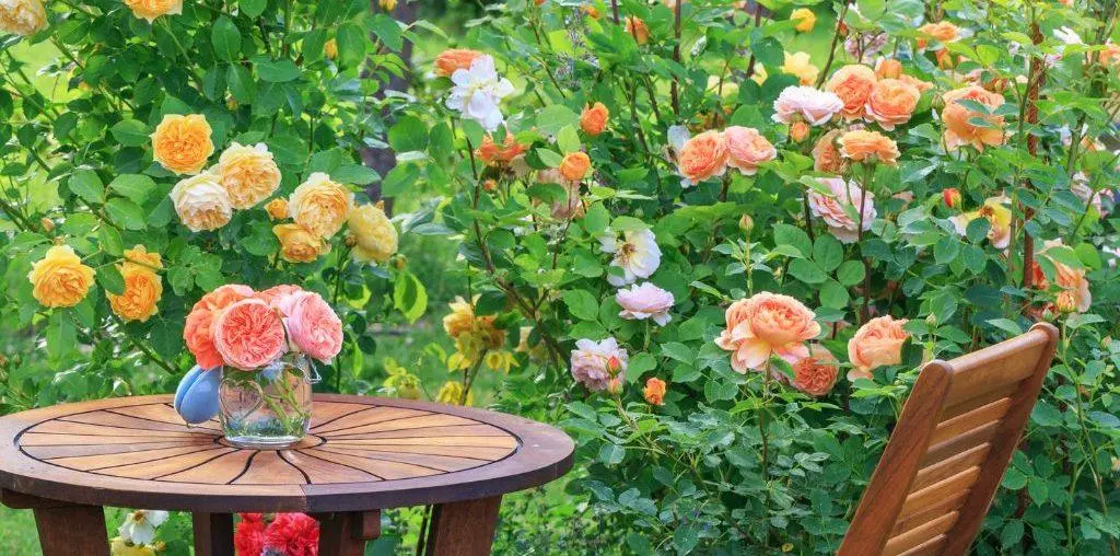 Discovering the Timeless Beauty of English Garden Landscapes