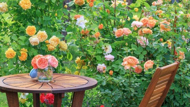 Discovering the Timeless Beauty of English Garden Landscapes