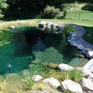 Natural Swimming Pool Contractors in St. Paul