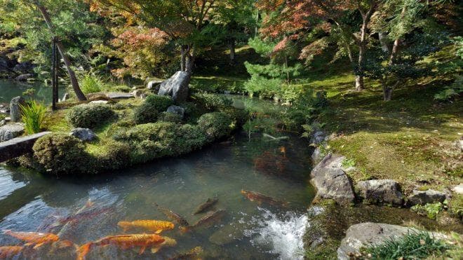 The Art of Korean Gardens: Creating a Sanctuary in Modern Homes