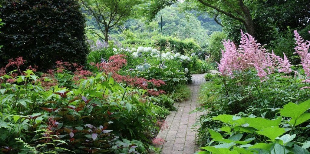 Woodland Landscape Design for a Serene Outdoor Escape