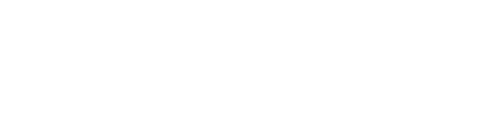 stronghold wide logo reverse rgb 1000px@72ppi.png