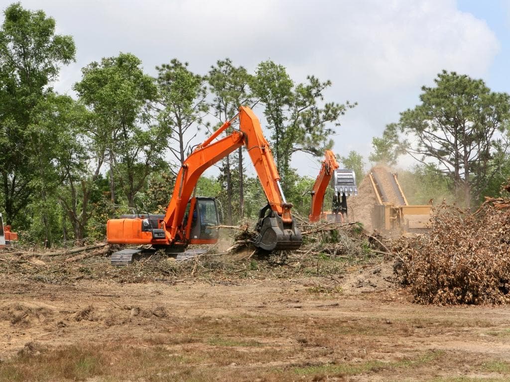 Stronghold Vegetation Management 16710 County Rd 569 Rosharon, TX 77583, USA 281 369 0321 brush clearing (1)