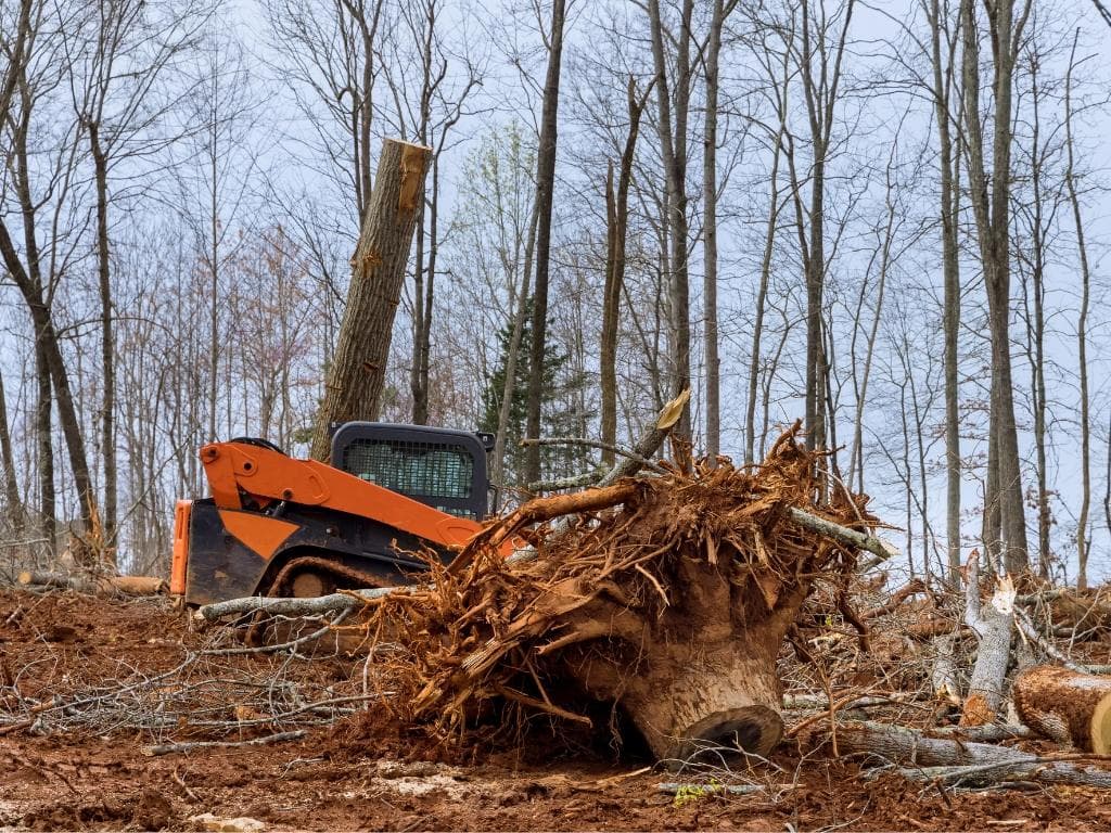 Stronghold Vegetation Management 16710 County Rd 569 Rosharon, TX 77583, USA 281 369 0321 brush management