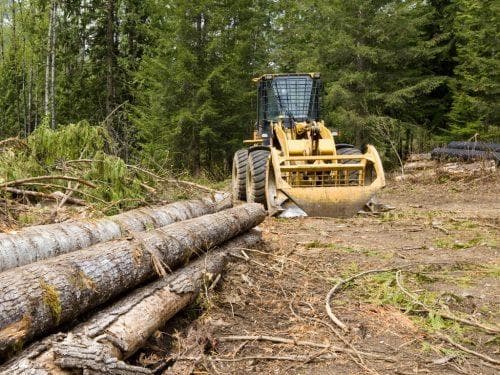 Stronghold Vegetation Management 281 369 0321 right of way clearing