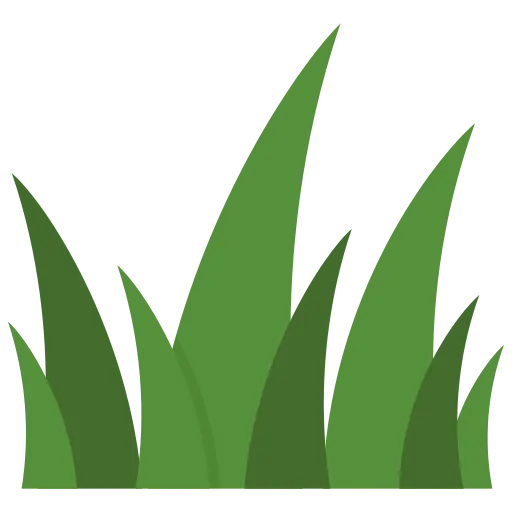 grass