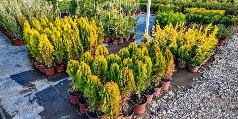 designing sustainable landscapes