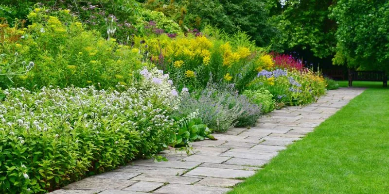 Native Plant Gardens That Boost Biodiversity Native Plant Gardens That Boost Biodiversity