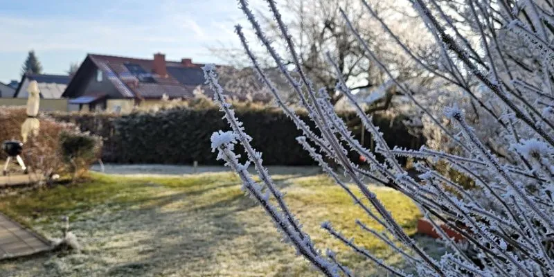 Winter Lawn Prep Why It Matters in Atlanta Winter Lawn Prep Why It Matters in Atlanta