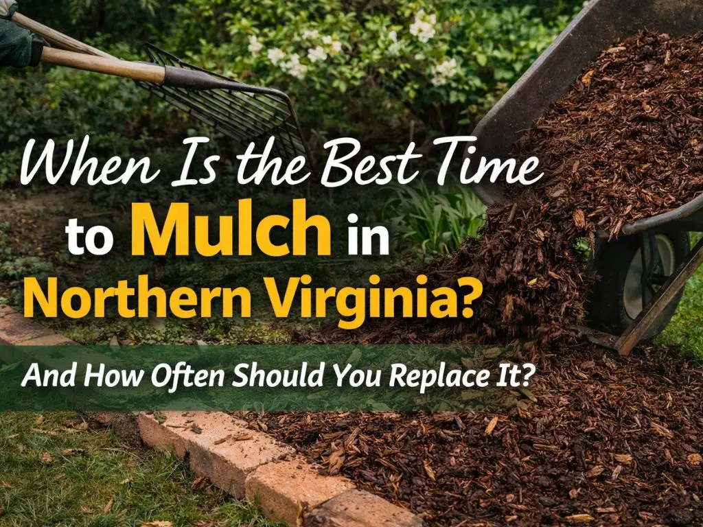 When Is the Best Time to Mulch in Northern Virginia