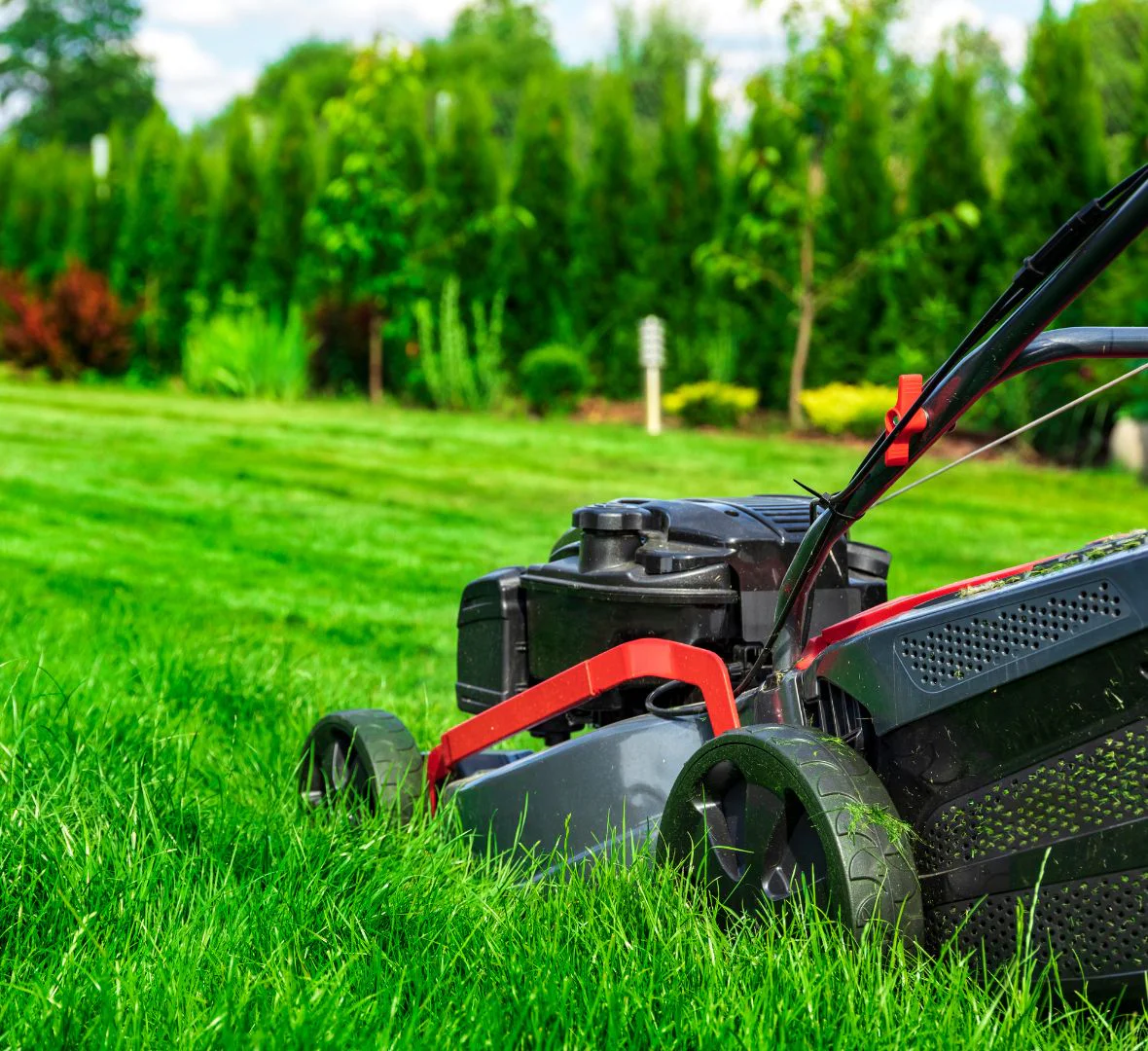 Lawn mowing services for a green and well kept lawn in landscaping Fairfax Station VA
