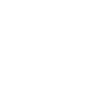 ZODU ABA Services|Home