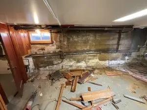 mold, basement humity