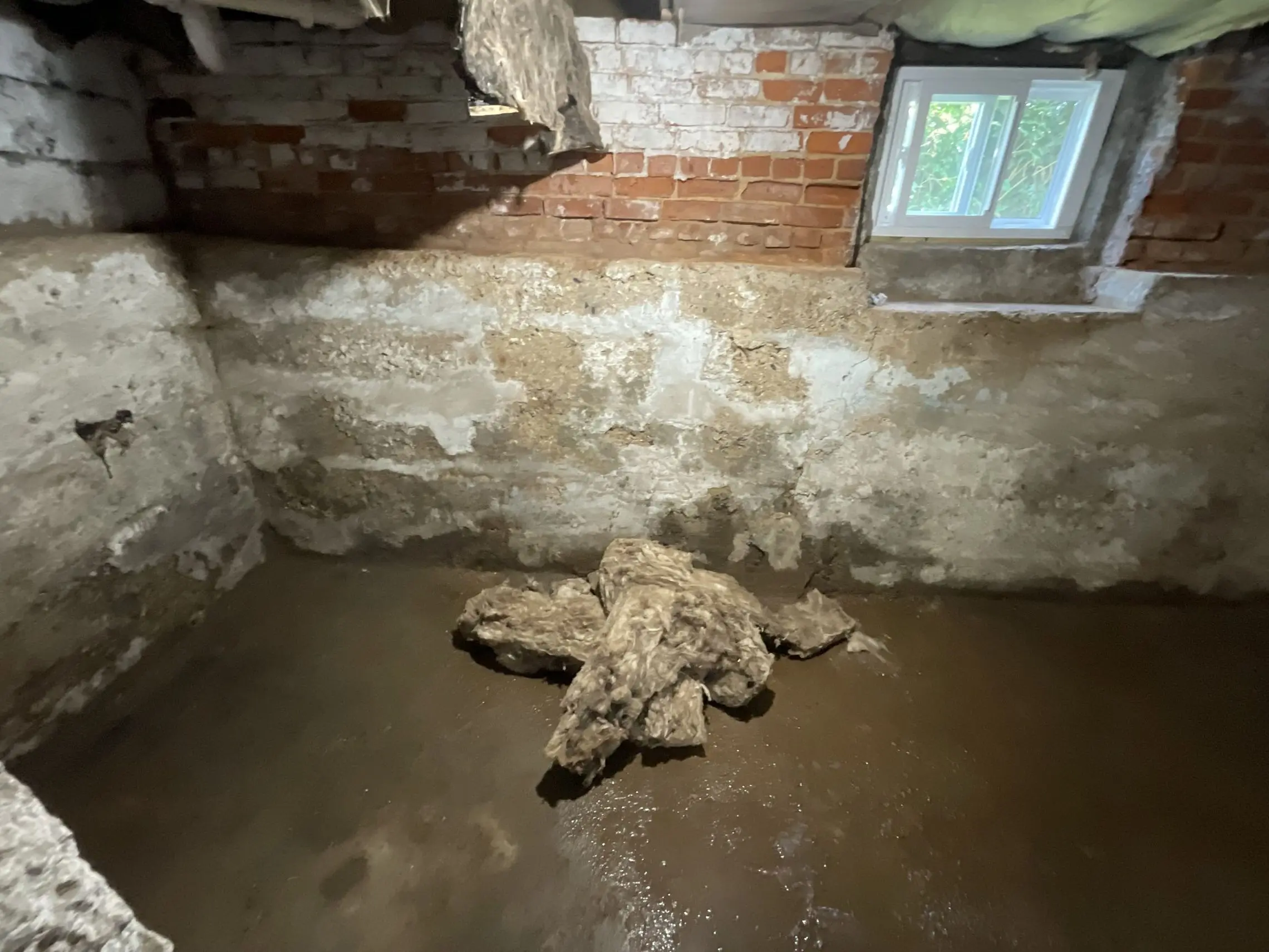A dimly lit basement with exposed brick and concrete walls, partially flooded. A small window lets in light. Debris floats on the water, evoking disrepair.