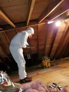 mold-remediations-nj-1