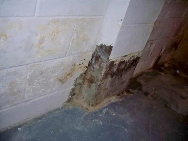 Mold and water damage on white cinder block wall in a dimly lit basement corner. The floor and wall show discoloration and decay, conveying neglect.