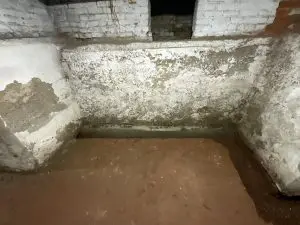 Mold