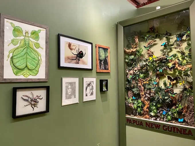 Insectropolis
