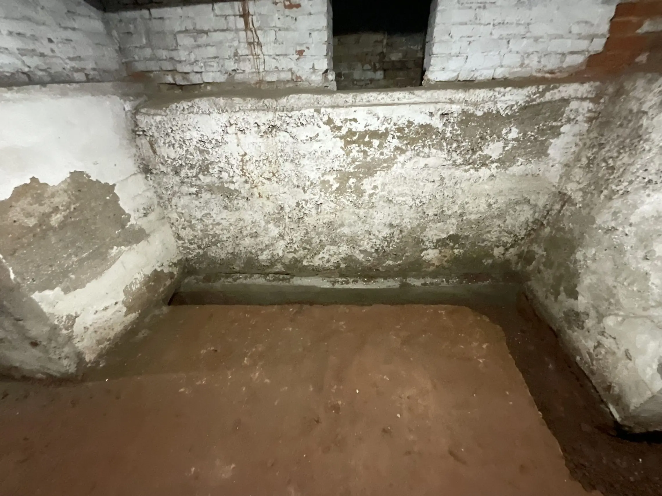 Mold