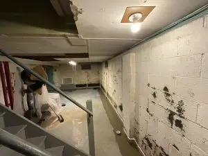 Basement with mold-stained walls and partial flooding. A dim light bulb hangs from the ceiling. A person stands by stairs, holding a mop, suggesting cleanup in progress.