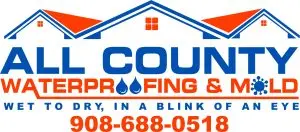 ALL COUNTY - STRAIGHT LOGO (3)