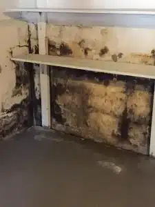 Moldy-Basement-Walls-New-Jersey-1