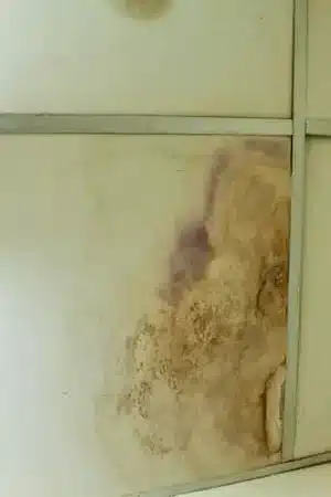 Mold-testing-short-hills-nj