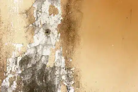 Mold problem