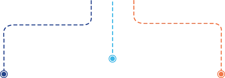 adaptable DNA flow chart