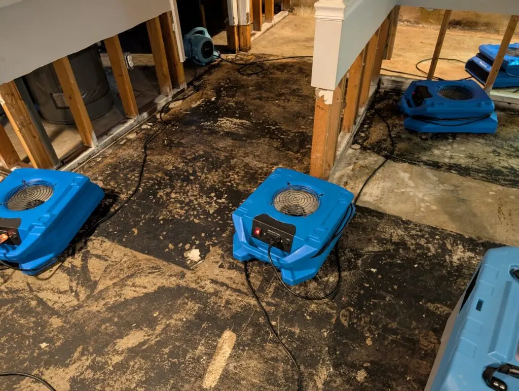 Emergency Sewage Cleanup and Basement Restoration in Shively, KY