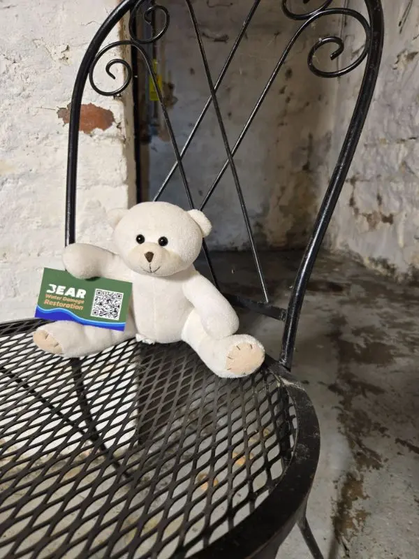 Bear Restoration