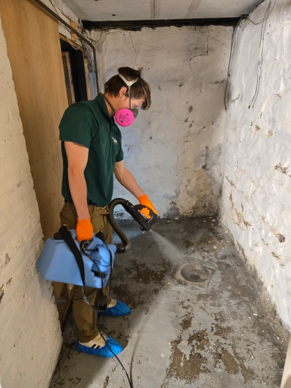 Floor fumigation and restoration Bear Restoration Louisville KY