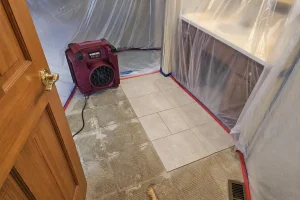 Sewage backup cleanup and restoration guide for Louisville KY homes