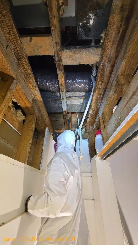 shively water mitigation company