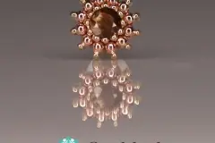 RoseZawadi