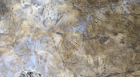 Stamped Concrete