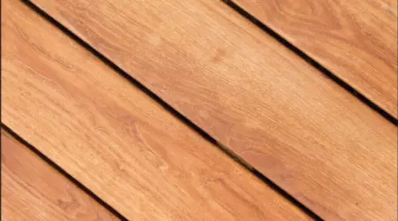 Zuri-Chestnut
