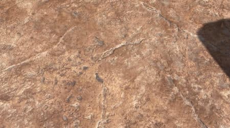 Stamped Concrete