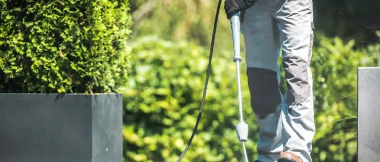 Cleaning Patio Pavers: 10 Tips for Caring for Your Patio